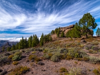 Wokół Roque Nublo